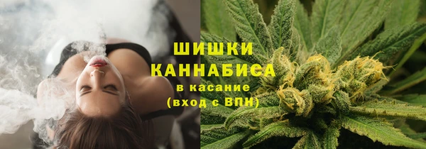 индика Верхнеуральск